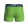 NFL Herren Boxershorts, 6er Pack - NFL Teams, Boxers, Football, Logo, Baumwollmischung Seattle Seahawks/Schwarz L