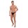 HOM Mens Comfort Micro Brief - briefs, underwear, cotton, plain Black L (Large)