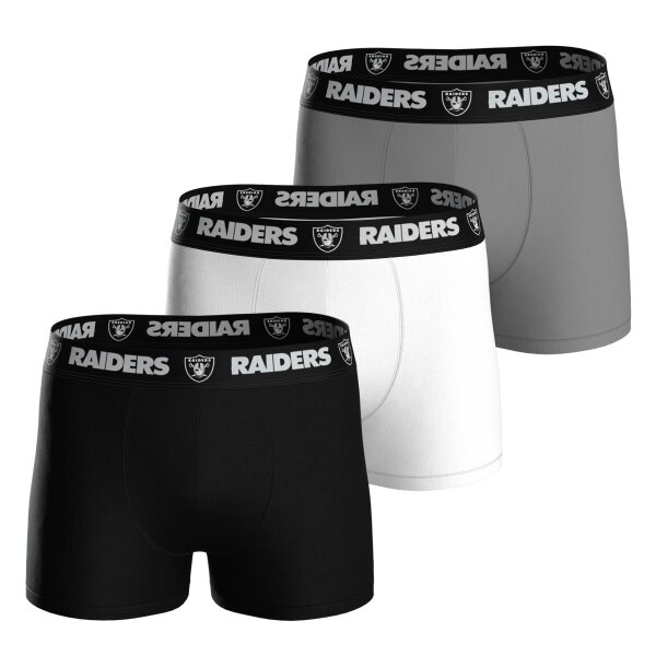 Las Vegas Raiders